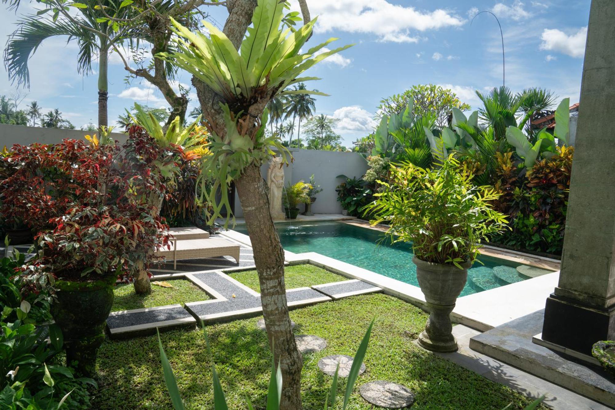 Ananditha Villa Ubud Ricefield Views Ngoại thất bức ảnh